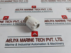 Siemens Screw Cap Fuse 500V 50 Gm