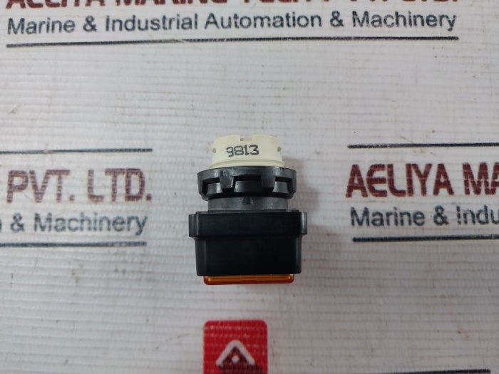 Square D D1Y3Y Illum Pushbutton Operator 9001