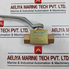 Stauff Bbv20040001H Manual Lever Actuator Ball Valve