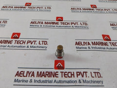 Steinen 24.00 Oil Nozzle 80?Ph