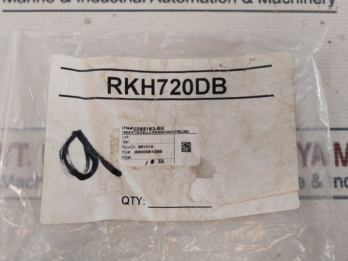 SVF Flow Controls 0295163RK Repair Kit