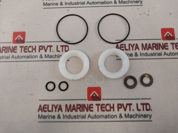 SVF Flow Controls 0295163RK Repair Kit