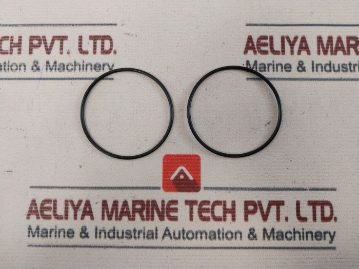 SVF Flow Controls 0295163RK Repair Kit