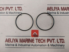 SVF Flow Controls 0295163RK Repair Kit