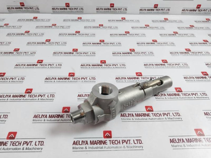 Taylor S-01380000 Safety Relief Valve 2400 Psi 3/4