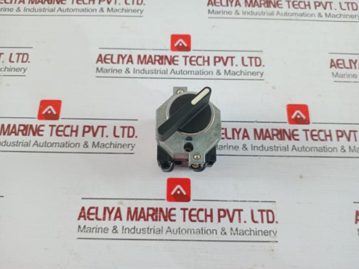 Telemecanique XBC-D Selector Switch XBC-D19704C13, 19704C12 660V AC