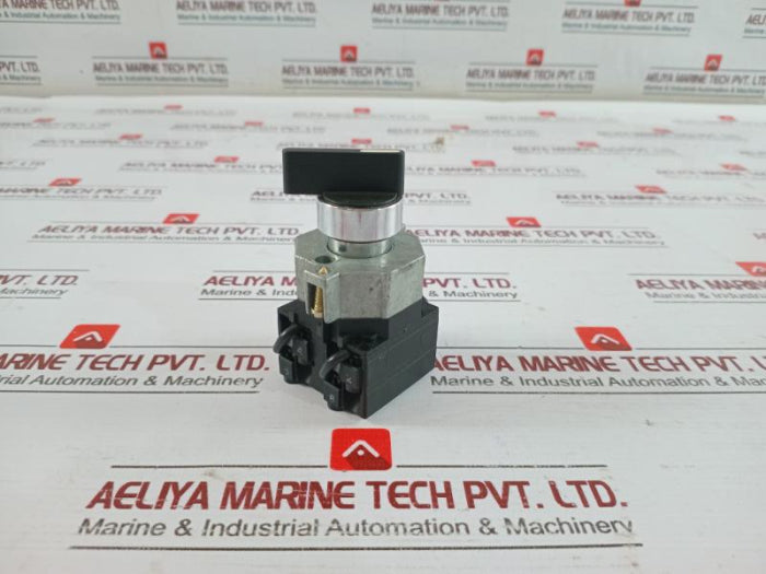 Telemecanique XBC-D Selector Switch XBC-D19704C13, 19704C12 660V AC