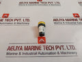 Telemecanique/Schneider Electric Xb7Ev05Gpn Indicating Lamp Led 110V