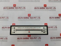 Texmate Fx-b101Q Bargraph Annular Regulated Pressure 4 To 20 Ma