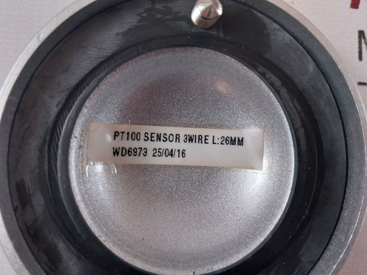 Thermotron Pt100 Sensor