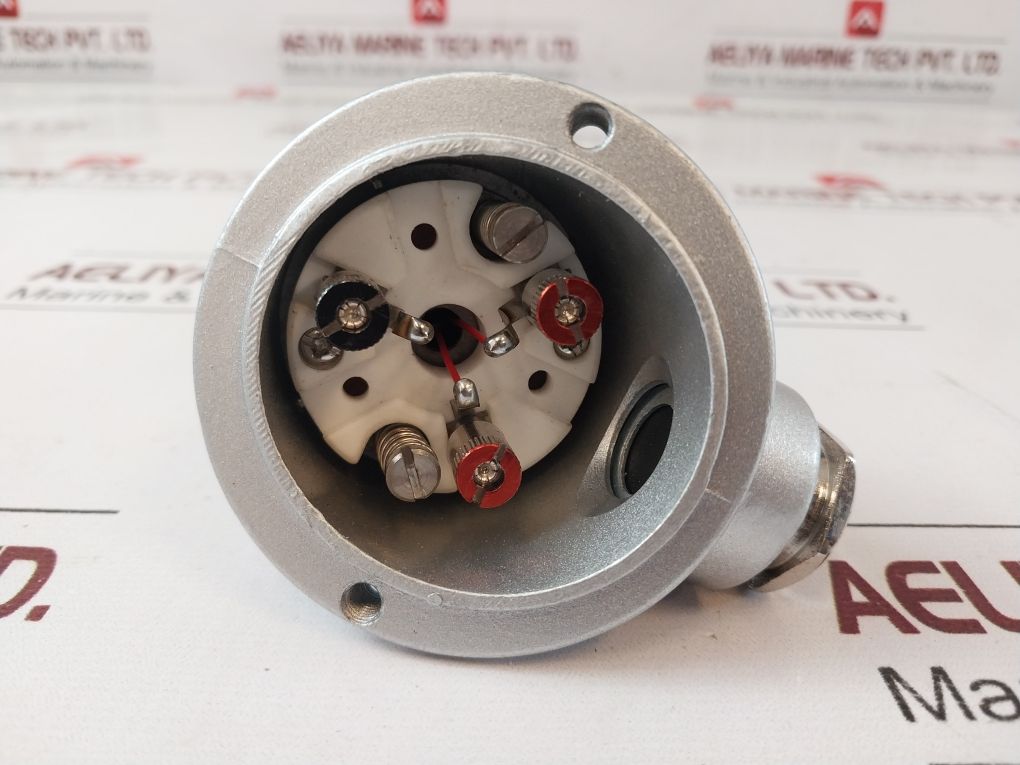 Thermotron Pt100 Sensor