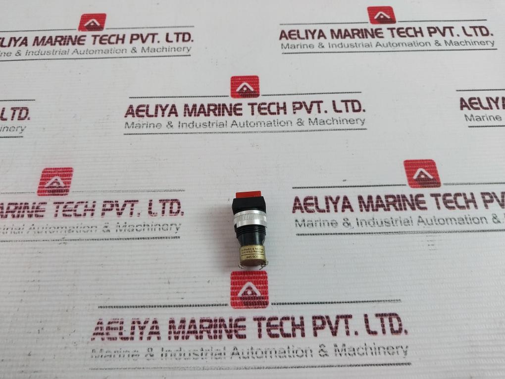 Tschudin & Heid 445 603, Ch-4153 Pushbutton Switch