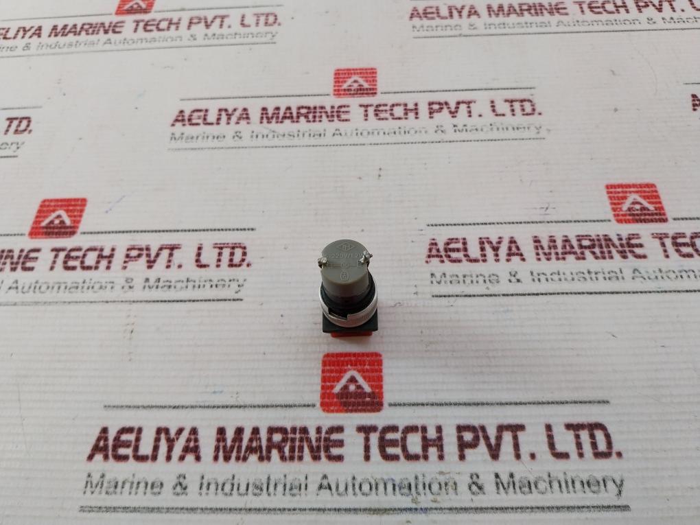 Tschudin & Heid 445 603 Pushbutton Switch