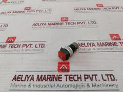 Tschudin & Heid 445 603 Pushbutton Switch
