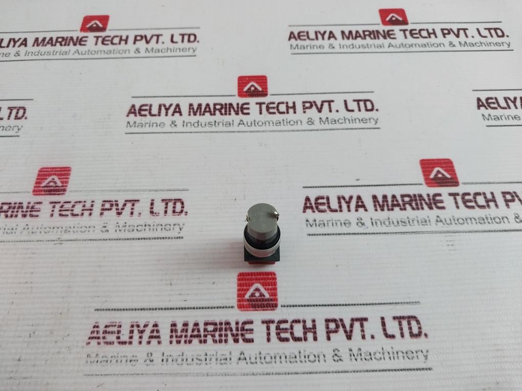 Tschudin & Heid 445 603 Pushbutton Switch Ch-4153