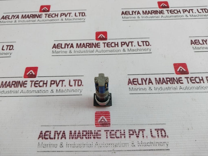 Tschudin & Heid Ch-4153 Push Button Switch 5A 250V