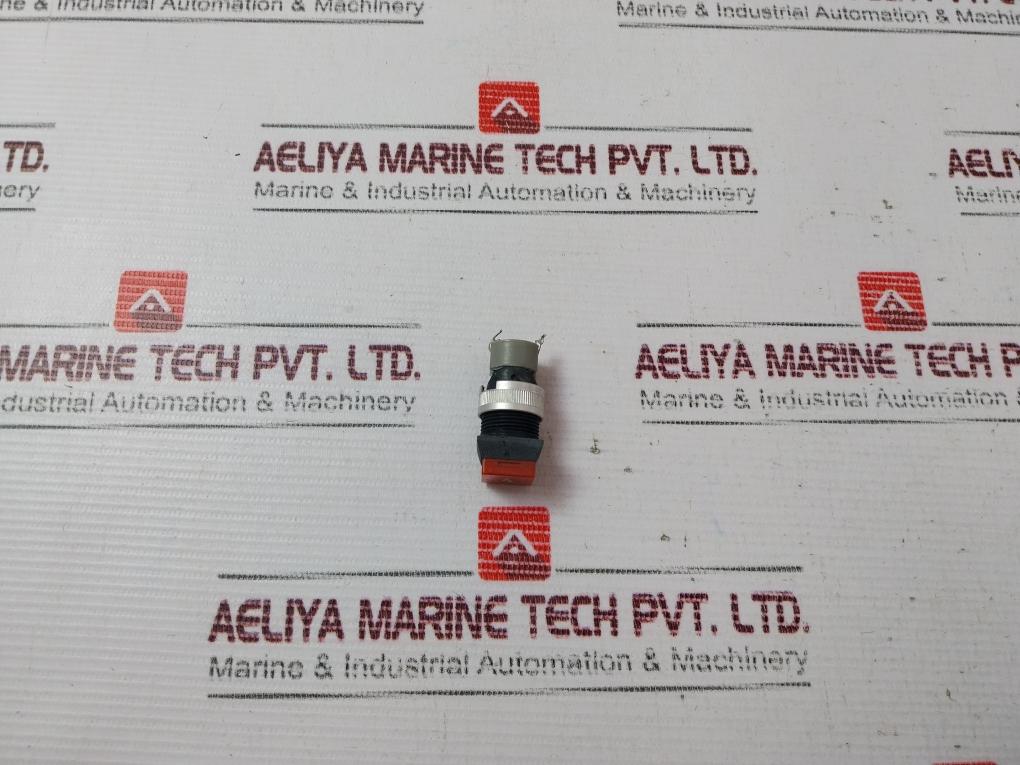 Tschudin & Heid Ch-4153 Pushbutton