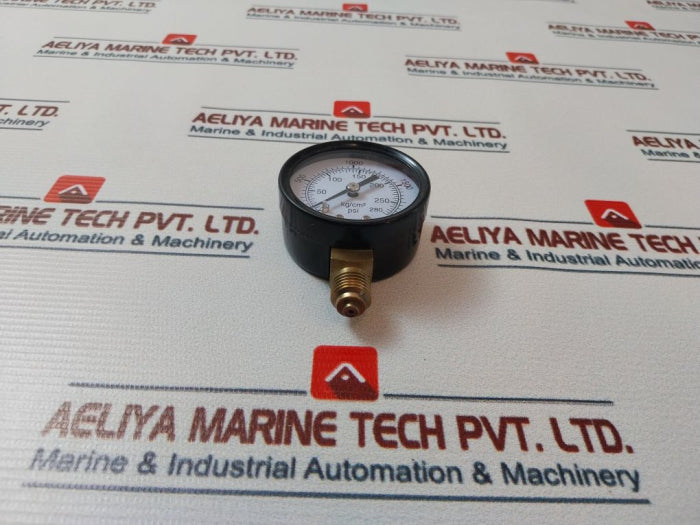 Waaree 0-4000 Psi Pressure Gauge