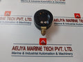 Waaree 0-4000 Psi Pressure Gauge