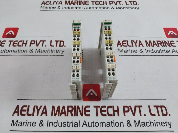 Wago 750-454/000-200 2-channel Analog Input Module 24V Dc 33003003----00