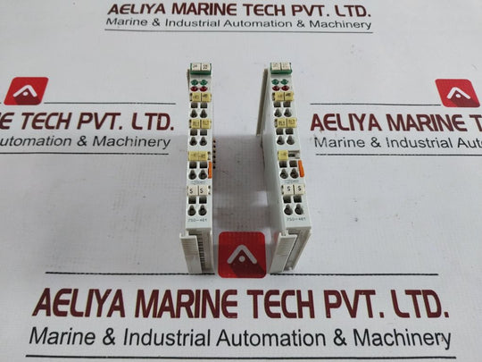Wago 750-461 2-channel Analog Input Module 10003B03----00