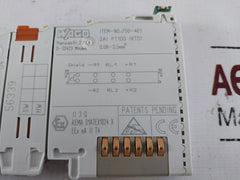 Wago 750-461 2-channel Analog Input Module 11013B04----04