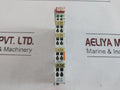 Wago 750-517/000-001 2 Channel Digital Output Module 250V Ac 1.0A