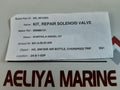 Set Of 4X Wartsila 006880131 Solenoid Valve Repair Kit