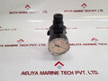 Wika 0 To 100 Bar Gauge