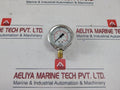 Wika 213.53.063 Pressure Gauge 0-60 Psi