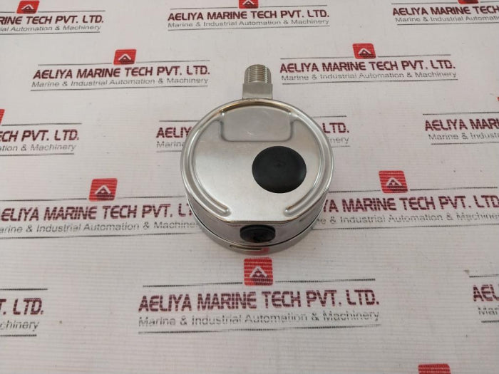 Wika 232.50.100 Pressure Gauge