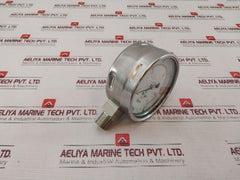 Wika 232.50.100 Pressure Gauge