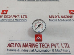 Wika 30N100 Pressure Gauge 111.12,2” 4389871