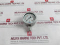 Wika En 837-1 Pressure Gauge 0–10 Bar