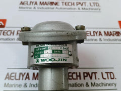Woojin Pt 100Ohm 5Ma Resistance Bulb Class 0.5 185Mm