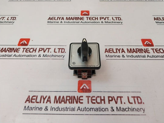 Yongsung 8406 Cam Switch 10A 250Vac