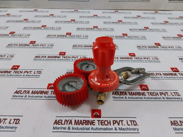 Henan Dalisi Yqe-03 Acetylene Gas Reducer