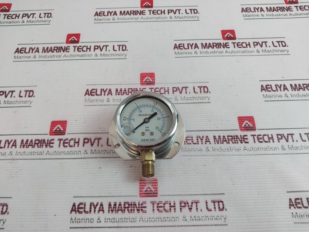 Zheng Bao 0-25 Bar Pressure Gauge