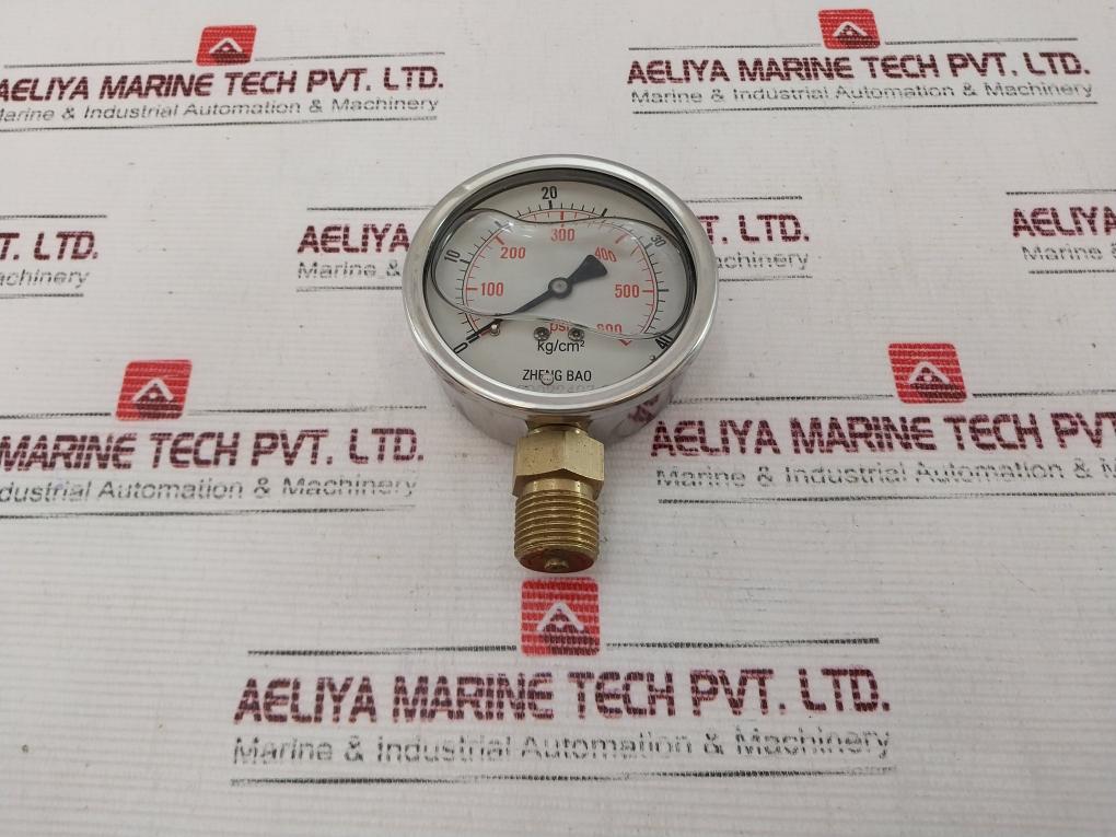 Zheng Bao 0-600 Psi L Pressure Gauge
