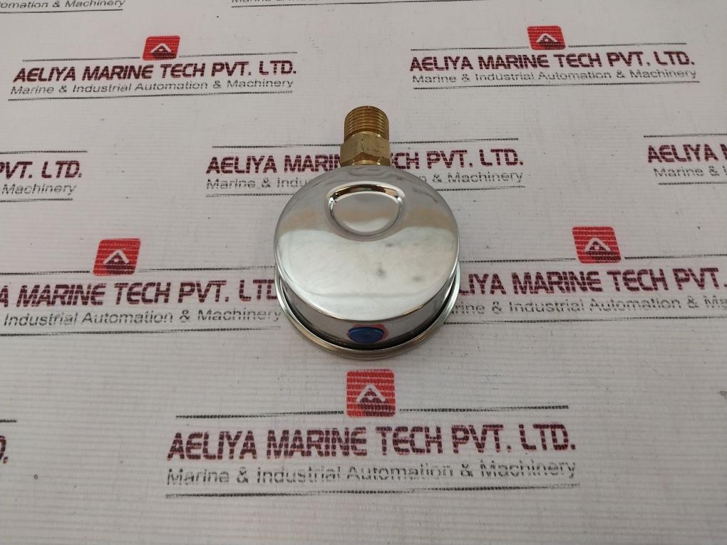 Zheng Bao 0-600 Psi L Pressure Gauge