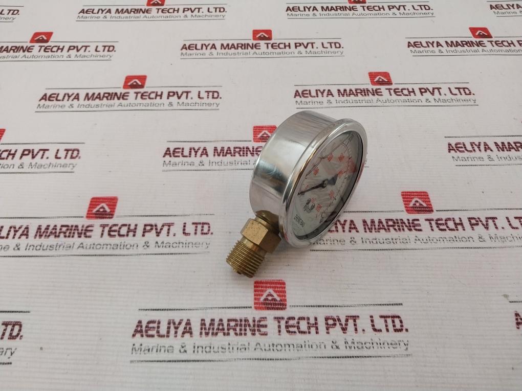 Zheng Bao 0-600 Psi L Pressure Gauge