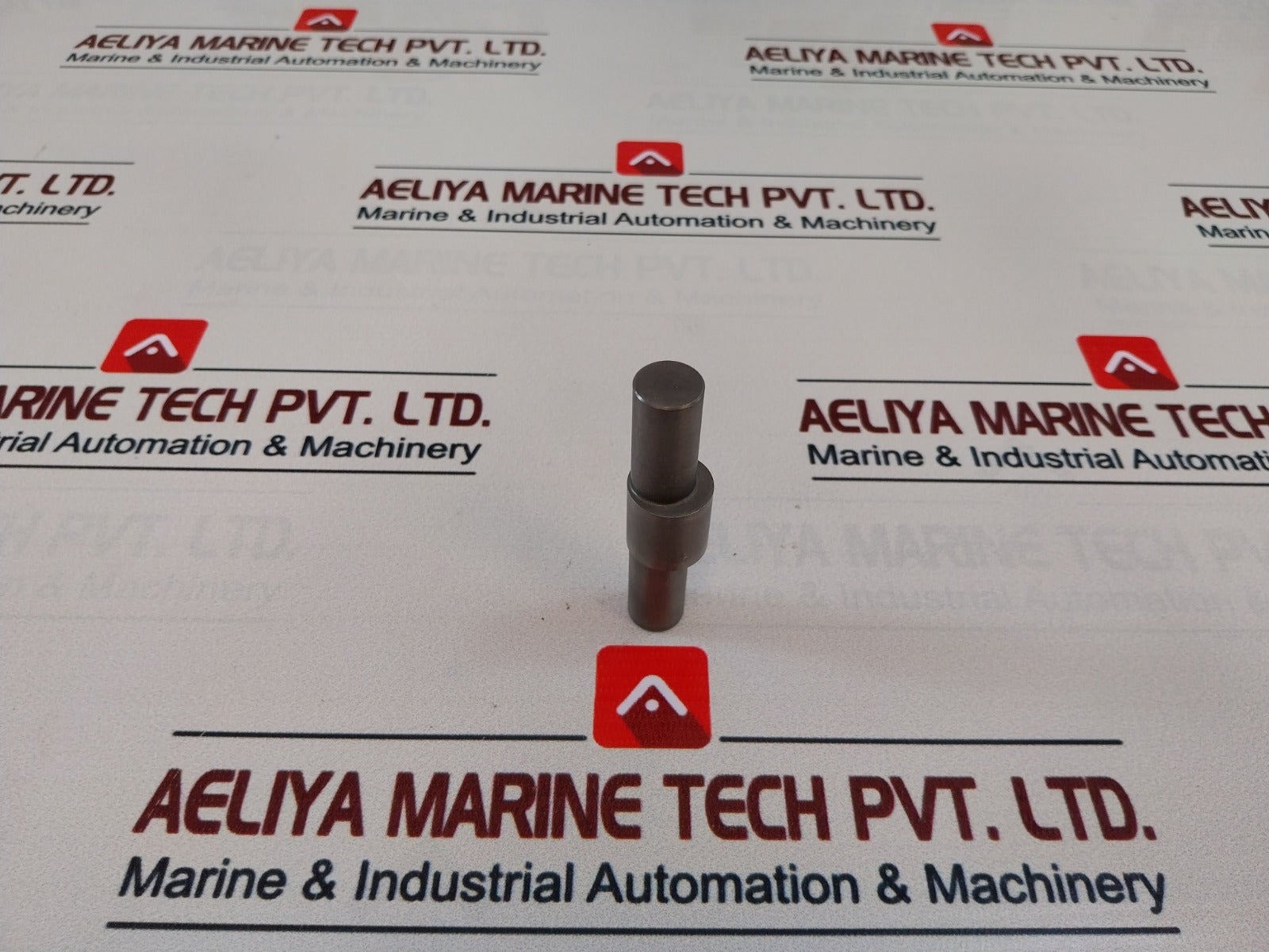 025040 Excenter Shaft 