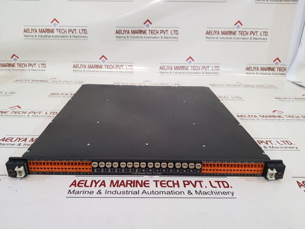 3000075-001 Module