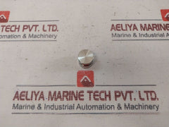100873 100666-04 Repair Valve Kit