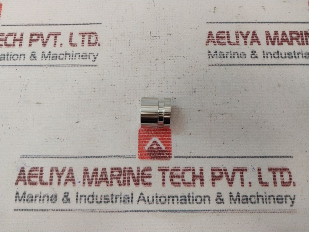 100873 100666-04 Repair Valve Kit