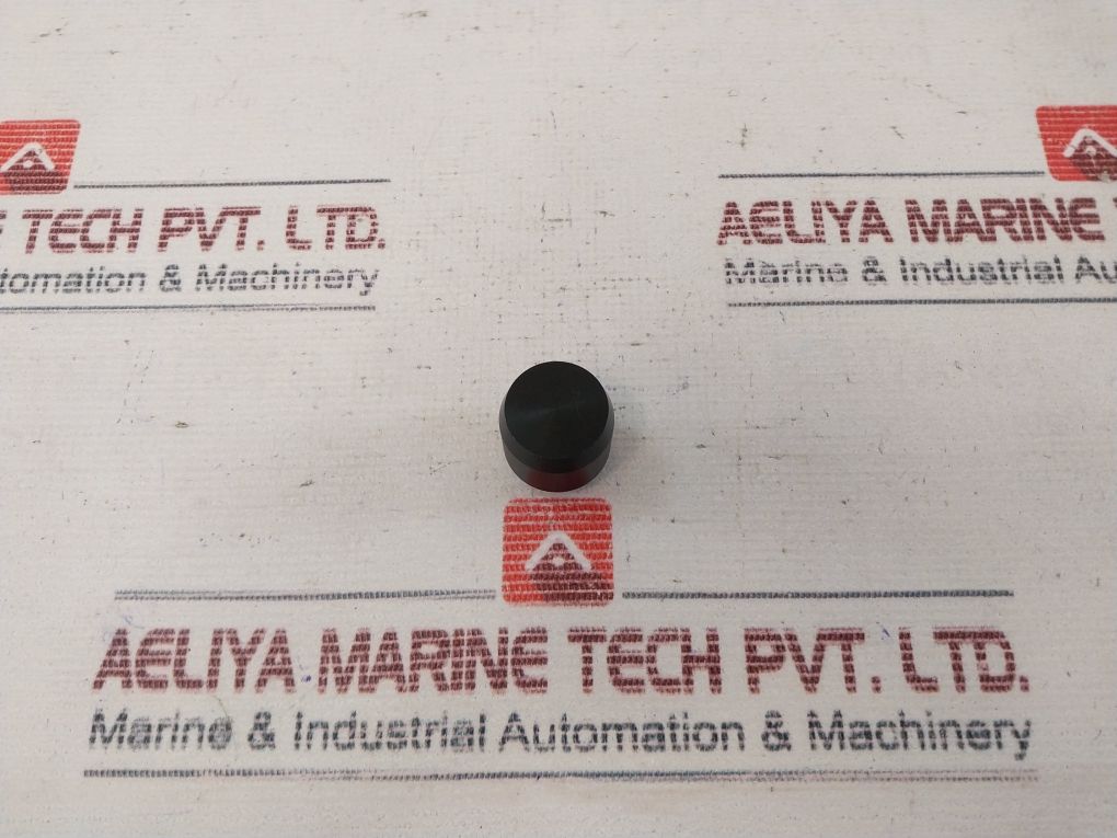 100873 100666-04 Repair Valve Kit