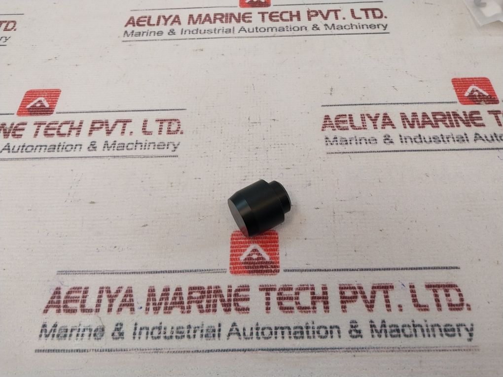 100873 100666-04 Repair Valve Kit