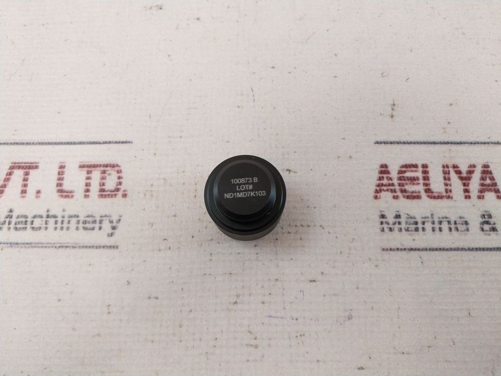 100873 100666-04 Repair Valve Kit