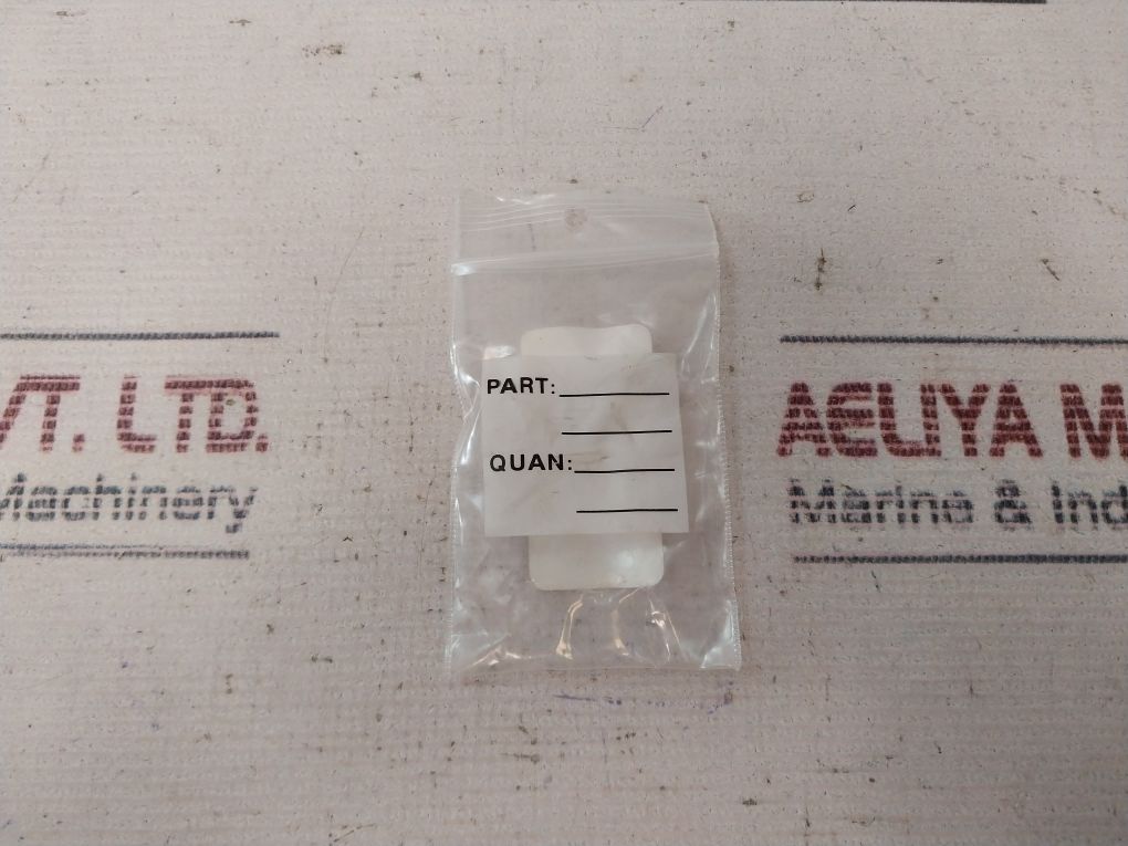 100873 100666-04 Repair Valve Kit