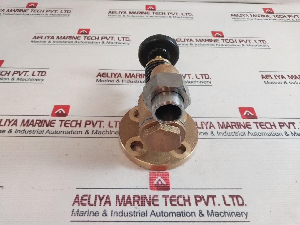 10K25 Globe Hose Valve